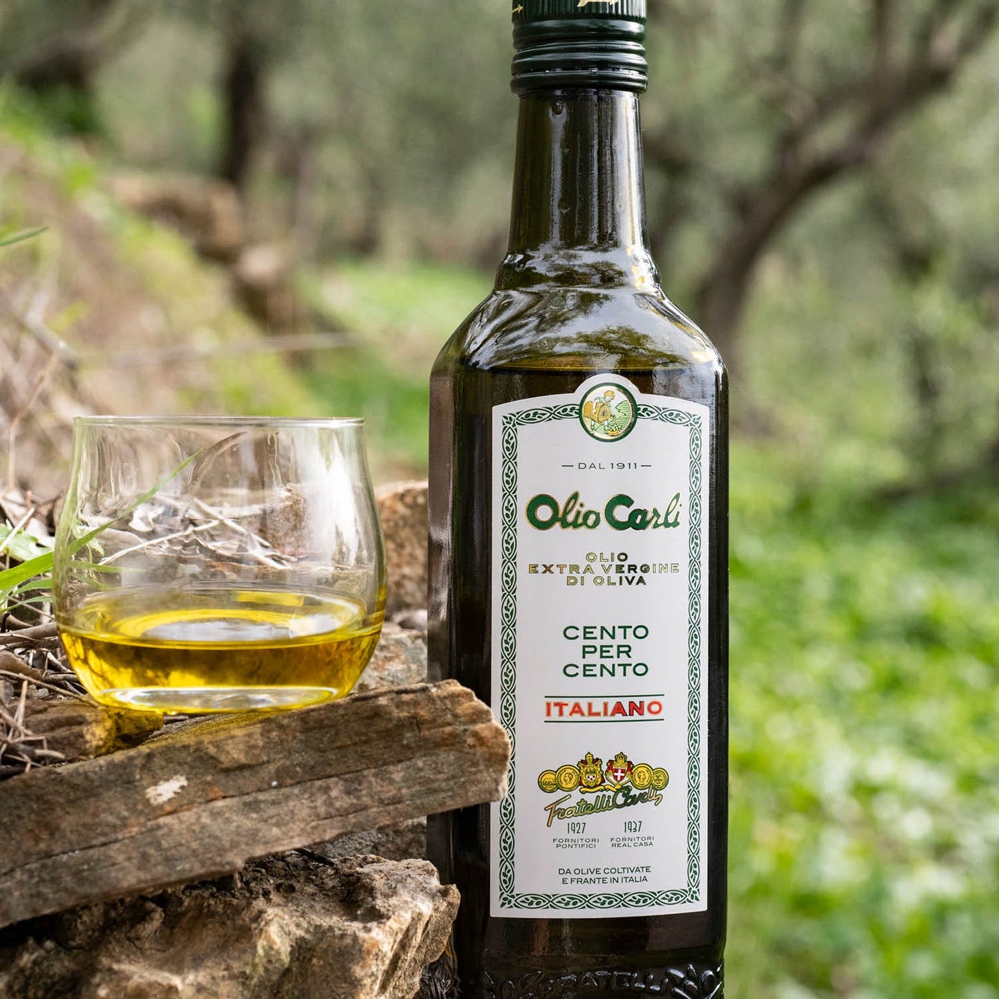 Trio Olio Carli