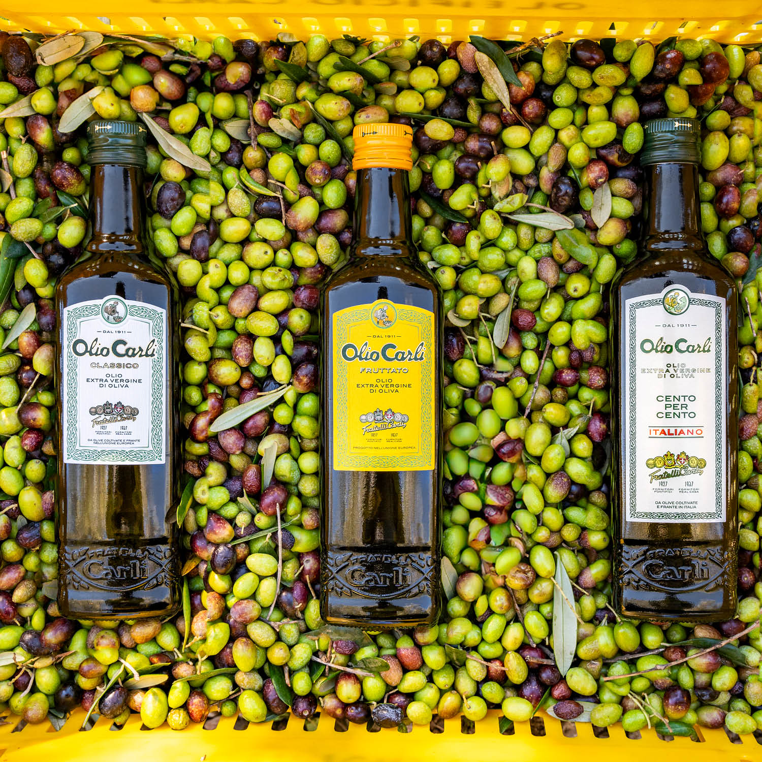 Trio Olio Carli