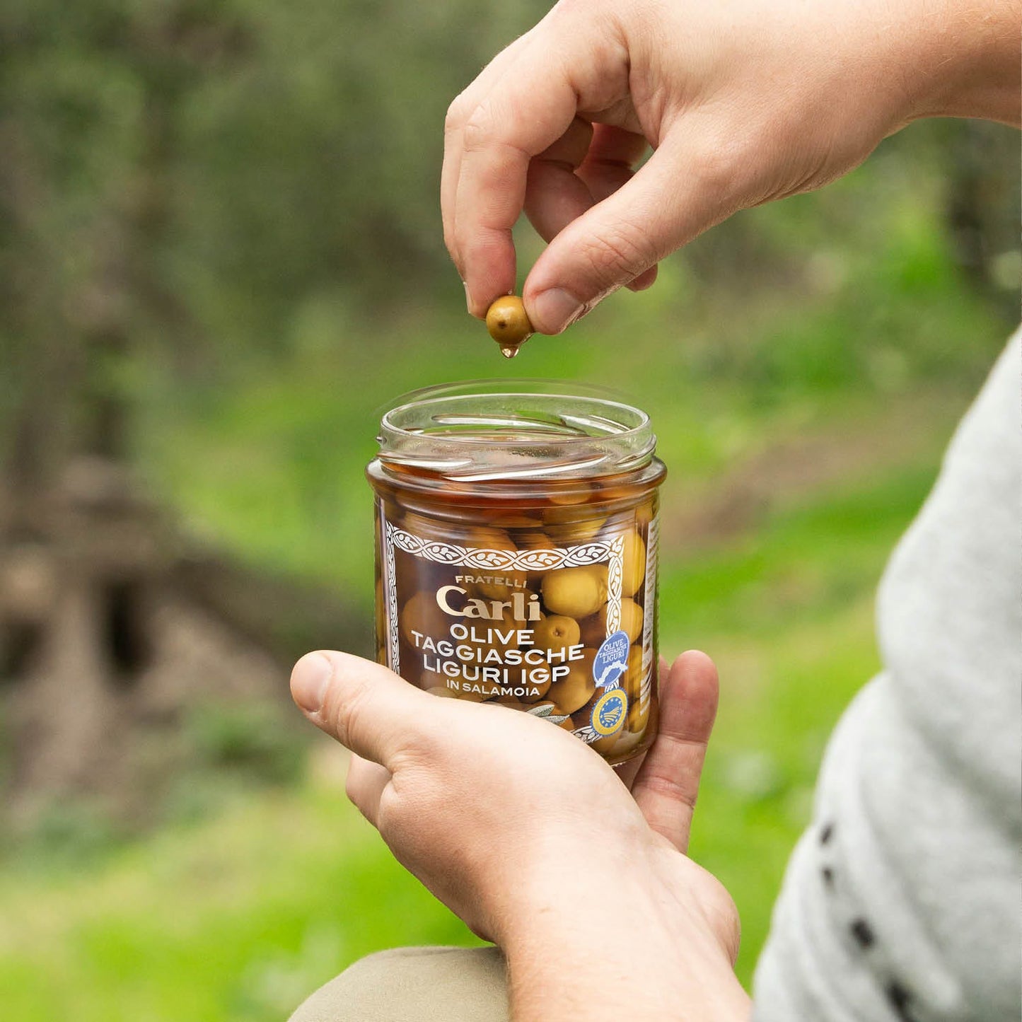 Olive Taggiasche Liguri in Salamoia