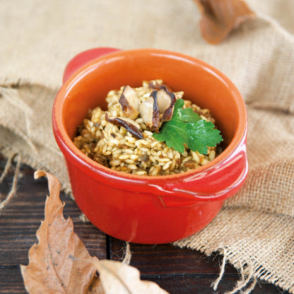 Risotto ai Funghi